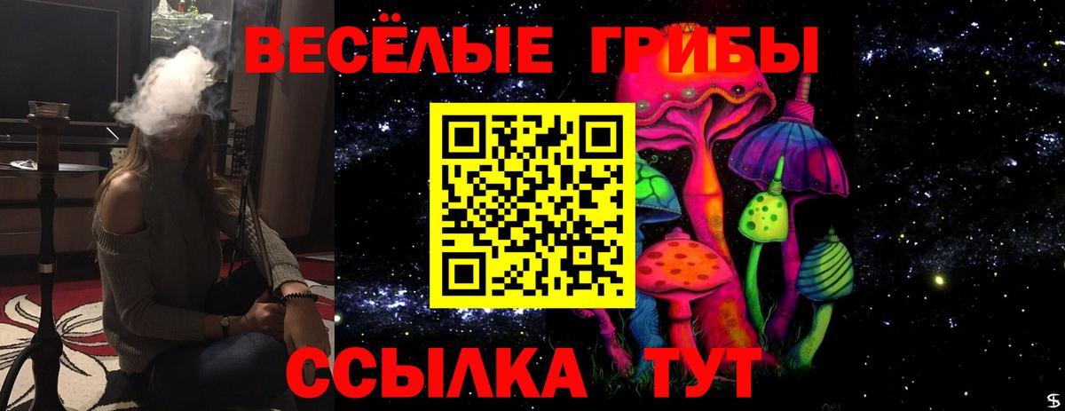 Псилоцибиновые грибы MAGIC MUSHROOMS Кимовск