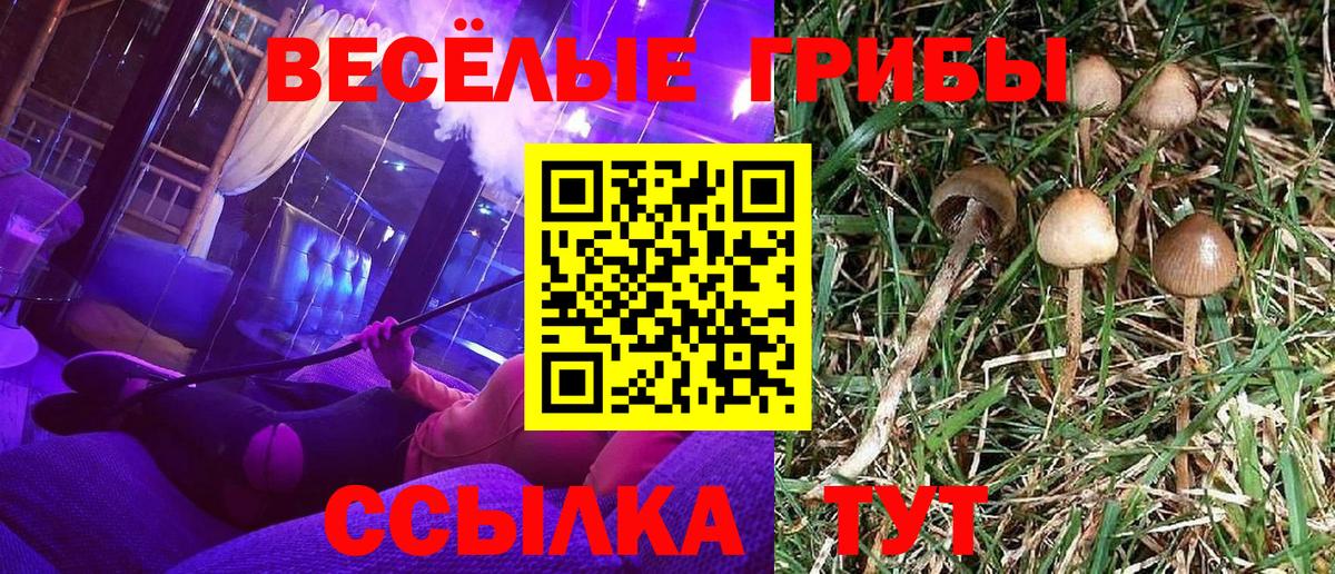 Кимовск  купить закладку  Вход с VPN  Псилоцибиновые грибы мухоморы 