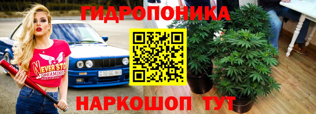 Каннабис план  Канабис Ganja  Бошки марихуана конопля  Кимовск  Бошки Шишки ГИДРОПОН  Вход с VPN 